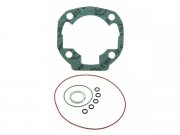Dichtsatz MALOSSI fr Zylinder M315098/M318394/M318393...