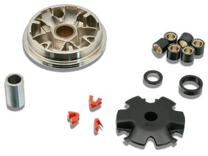 Variator MALOSSI Multivar,  fr HONDA 50 Dio Clean 4 You /Zoomer/Ruckus,  4T LC  16x13mm, 6 Rollen, 6,0g