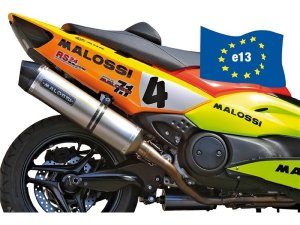 Rennauspuff MALOSSI Wild Lion, für YAMAHA 500 T-Max i.e....