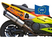 Rennauspuff MALOSSI Wild Lion,  fr YAMAHA 500 T-Max i.e....
