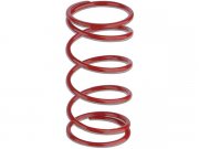 Gegendruckfeder MALOSSI Racing  fr MINARELLI/MORINI...