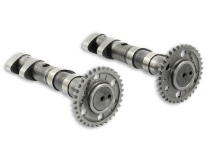 Nockenwelle MALOSSI fr YAMAHA  T-Max 500ccm 4T LC,  (Typ 4B5/5VU/5GJ), 2 St: Auslass- u. Einlassnockenwelle