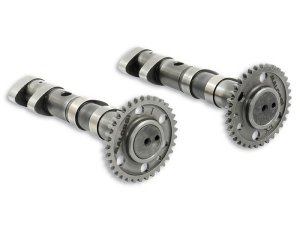 Nockenwelle MALOSSI fr YAMAHA  T-Max 500ccm 4T LC,  (Typ 4B5/5VU/5GJ), 2 St: Auslass- u. Einlassnockenwelle