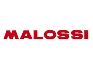 Banner MALOSSI  LOGO, wei, Stoff,  L 4500 mm, H 500 mm