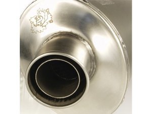 Rennauspuff MALOSSI Wild Lion, für YAMAHA T-Max inject....