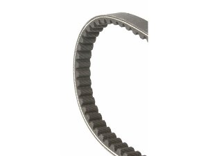 Keilriemen MALOSSI X-K Belt für APRILIA...