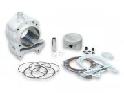 Rennzylinder MALOSSI 218ccm  fr Vespa GTS/GTV/GT/GT L...