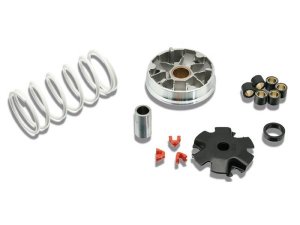 Variator MALOSSI Multivar 2000,  fr PEUGEOT 50 Speedfight 3 /Tweet/SYM 50 Symphony,  4T AC/LC  16x13mm, 6 Rollen, 6,0g