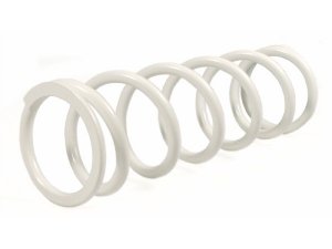 Feder Stodmpfer MALOSSI  vorne fr RS24/10-R M4614236,  K=1,4,  wei