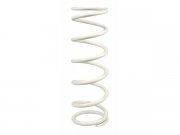 Feder Stodmpfer MALOSSI  hinten fr RS24/10-R M4614237,...