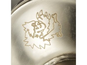 Rennauspuff MALOSSI Wild Lion, für YAMAHA T-Max inject....