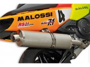 Rennauspuff MALOSSI Wild Lion,  fr YAMAHA T-Max i.e....
