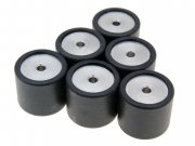 Variatorrollen POLINI 12,0g, 19x17mm fr GILERA/PIAGGIO...