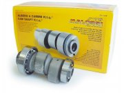 Nockenwelle MALOSSI Power Cam fr Vespa GTS/GTS...