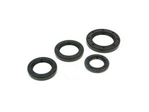 Wellendichtringsatz Motor fr GILERA/PIAGGIO 50ccm 2T AC /LC MALOSSI, FKM/PTFE, 17x28x5 /30x47x6/18x28x7/19x30x7 mm
