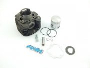 Rennzylinder POLINI 225ccm  fr PIAGGIO Ape TM   69,0mm,...