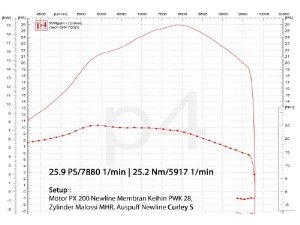 Auspuff Vespa PX 200 / Scooter + Service Newline Curley Edelstahl S, Flansch passend fr Zylinder Malossi alt