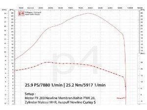 Auspuff Vespa PX 200 / Scooter + Service Newline Curley Edelstahl S, Flansch passend fr Zylinder Malossi Sport / MHR