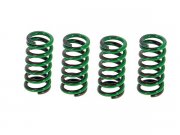 Kupplungsfedern DRT fr Kupplung DRT 393/PK50 XL FL, fr...