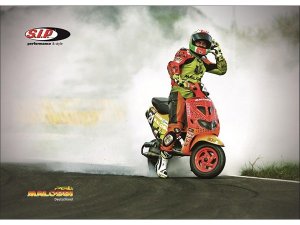 Postkarte SIP MALOSSI Deutschland rot L 148mm, B 114mm