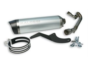 Rennauspuff MALOSSI Wild Lion, fr APRILIA SR Motard 125ccm 4T, LC mit E-Pass