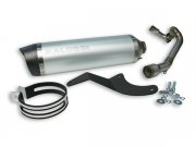 Rennauspuff MALOSSI Wild Lion, fr APRILIA SR Motard...