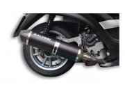 Rennauspuff MALOSSI Wild Lion, fr APRILIA...