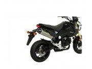 Auspuff MALOSSI GP MHR Replica, fr HONDA Grom/MSX 125ccm...